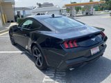 Used 2024 Ford Mustang Coupe image 5