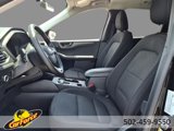 Used 2024 Ford Escape Active w/ Tech Pack #1 image 5