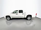 Used 2009 Dodge Dakota Laramie image 4
