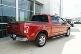 Used 2015 Ford F150 XLT w/ Equipment Group 302A Luxury image 3