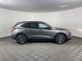 Used 2022 Ford Escape SE w/ Convenience Package image 5