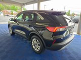 Used 2020 Ford Escape SE image 4