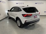 New 2025 Ford Escape Active w/ Tech Pack #1 image 4