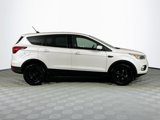 Used 2019 Ford Escape SE image 4
