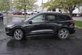 Used 2024 Ford Escape ST-Line image 3