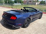 Used 2019 Ford Mustang Premium image 3