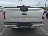 Used 2019 Ford F150 XLT w/ Equipment Group 302A Luxury image 4