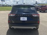 Used 2021 Ford Escape SE image 6