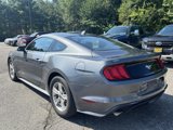 Used 2023 Ford Mustang Coupe image 5
