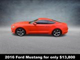 Used 2016 Ford Mustang Coupe w/ Equipment Group 051A image 2
