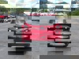 Used 2019 Ford Escape SEL image 6