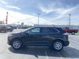 Used 2024 Ford Edge SEL image 6