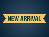Used 2006 HUMMER H2 w/ Limited Edition H2 image 4