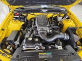 Used 2006 Ford Mustang GT Premium image 6