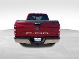 Used 2019 Ford F150 XLT w/ Equipment Group 302A Luxury image 4