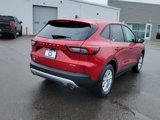 New 2025 Ford Escape Active w/ Tech Pack #1 image 5