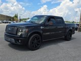 Used 2010 Ford F150 Harley-Davidson image 4
