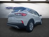 Used 2020 Ford Escape SE image 5
