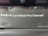 Certified 2024 Kia Carnival SX image 6