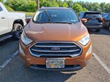Used 2020 Ford EcoSport SE image 2