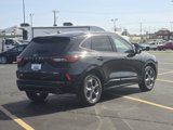 Used 2023 Ford Escape ST-Line image 4