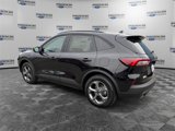 New 2025 Ford Escape ST-Line w/ Tech Pack #1 image 3