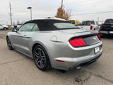 Used 2021 Ford Mustang Premium image 5