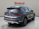 Used 2023 Hyundai Santa Fe Calligraphy image 5