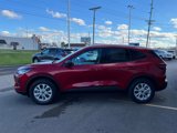 New 2025 Ford Escape Active w/ Tech Pack #1 image 4