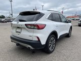 Used 2020 Ford Escape SEL image 2