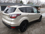 Used 2018 Ford Escape SE w/ SE Sport Appearance Package image 5
