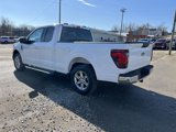 New 2025 Ford F150 XLT w/ Equipment Group 301A Standard image 6