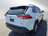 Used 2022 Toyota RAV4 XLE image 5