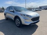 Certified 2022 Ford Escape SEL image 3