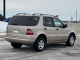 Used 2001 Mercedes-Benz ML 320 4MATIC image 6