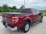 Used 2014 Ford F150 XLT w/ Equipment Group 302A Luxury image 5