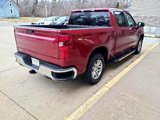 Used 2020 Chevrolet Silverado 1500 LT w/ All-Star Edition image 3