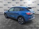 Used 2022 Ford Escape SE w/ SE Sport Appearance Package image 3