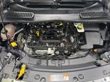 Used 2019 Ford Escape SEL image 4