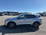 Used 2022 Ford Escape SE w/ Cold Weather Package image 4