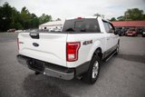 Used 2015 Ford F150 XLT w/ Equipment Group 302A Luxury image 3