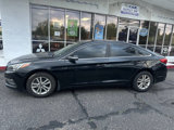 Used 2015 Hyundai Sonata ECO image 2