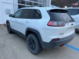Used 2020 Jeep Cherokee Trailhawk w/ Comfort/Convenience Group image 6
