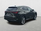 New 2025 Lexus NX 350 AWD w/ Accessory Package (K3) image 5