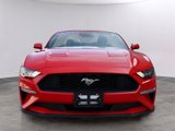 Used 2023 Ford Mustang Premium image 2