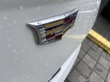 Certified 2020 Cadillac CT4 Premium Luxury image 4