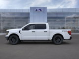 New 2024 Ford F150 STX w/ Equipment Group 201A FX4 image 3