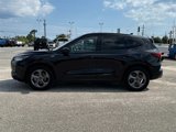Used 2024 Ford Escape ST-Line w/ Tech Pack #1 image 2