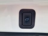 Used 2019 Toyota Highlander Plus image 5