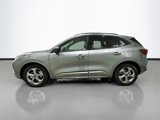 Used 2024 Ford Escape ST-Line w/ Tech Pack #1 image 4